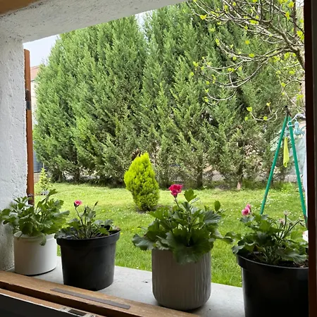 Apartment T2 La Roseraie *